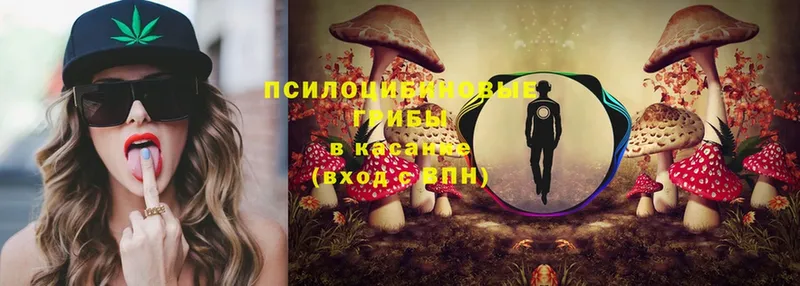 Псилоцибиновые грибы Psilocybe  Липки 